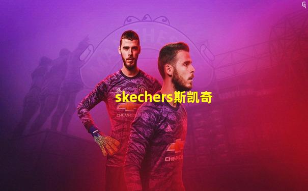 skechers斯凯奇