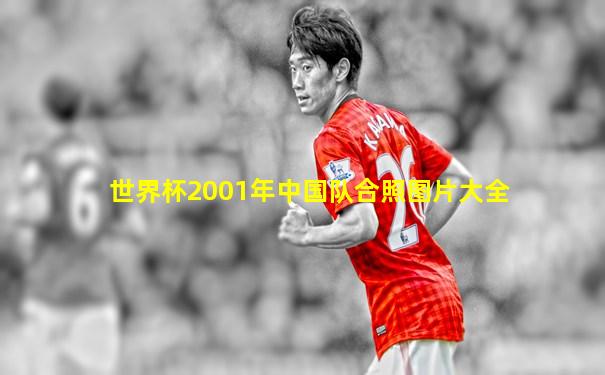 世界杯2001年中国队合照图片大全