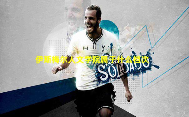 伊斯梅尔人文学院属于什么档次