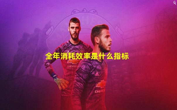 全年消耗效率是什么指标