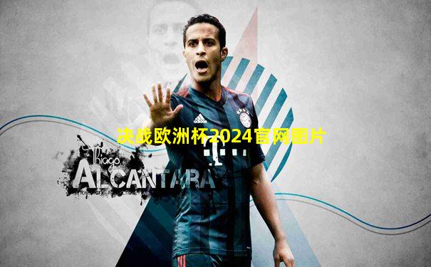 决战欧洲杯2024官网图片