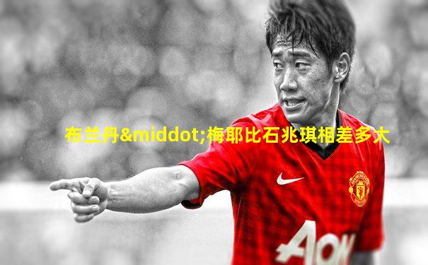 布兰丹·梅耶比石兆琪相差多大