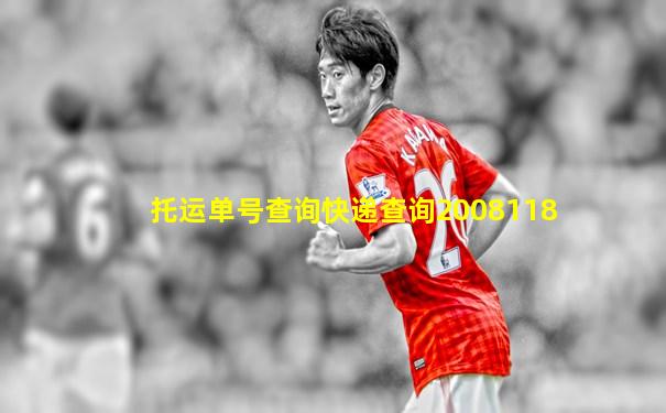 托运单号查询快递查询2008118