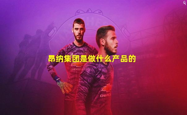 昂纳集团是做什么产品的