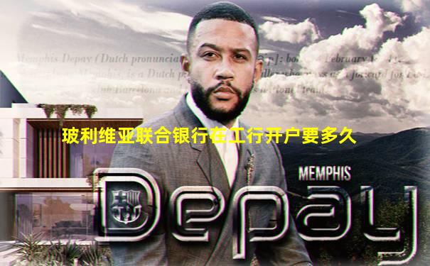 玻利维亚联合银行在工行开户要多久