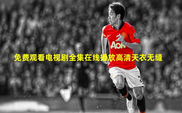 免费观看电视剧全集在线播放高清天衣无缝