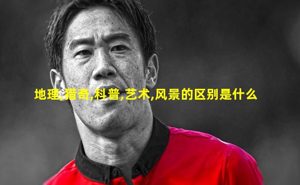 地理,猎奇,科普,艺术,风景的区别是什么