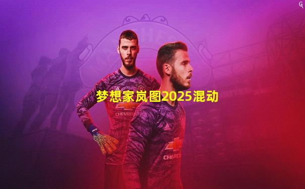 梦想家岚图2025混动