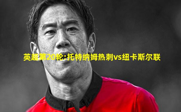 英超第20轮:托特纳姆热刺vs纽卡斯尔联
